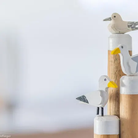 Moewennest Ii Gemuetliches Studio-apartment Mit Wlan & Kueche Apartament *