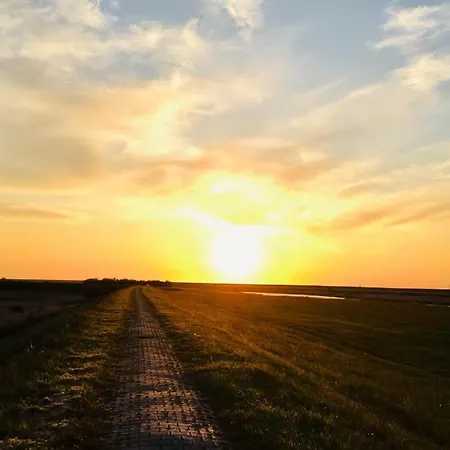 Apartament Moewennest Ii Gemuetliches Studio-apartment Mit Wlan & Kueche *