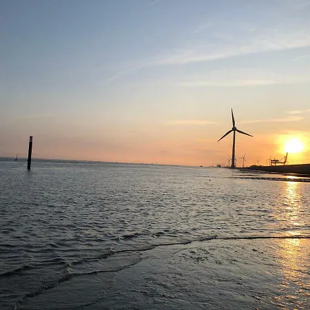 Moewennest Ii Gemuetliches Studio-apartment Mit Wlan & Kueche