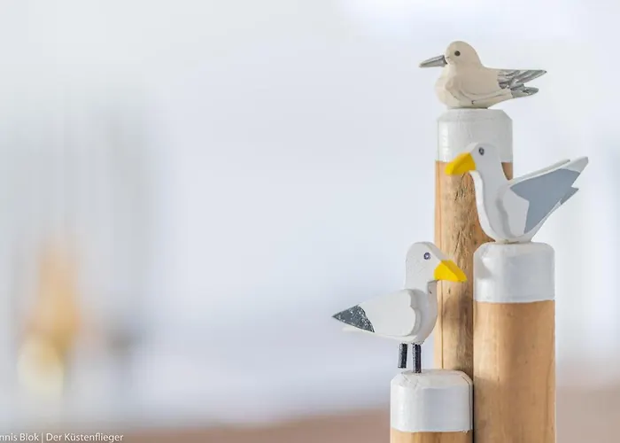 Moewennest Ii Gemuetliches Studio-apartment Mit Wlan & Kueche アパート *