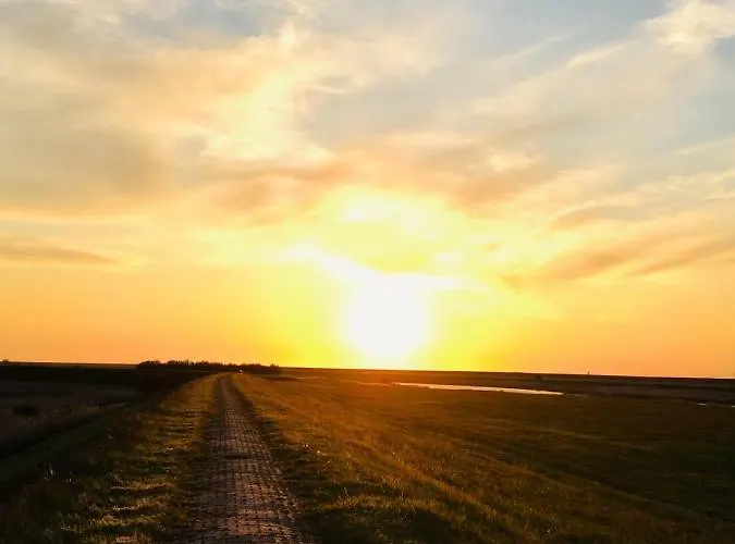 アパート Moewennest Ii Gemuetliches Studio-apartment Mit Wlan & Kueche *